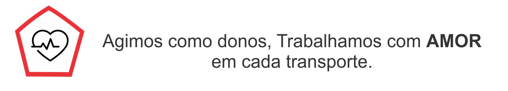 imagem com os direitos reservados pela SDL transportes